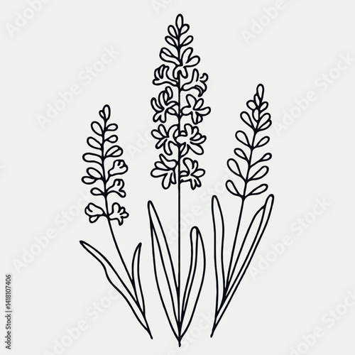 Set outline Hyacinth leaves, doodle floral pattern. Hand drawn Botanical drawing. Detailed line art hyacinths illustration. Simple Stylized flowers. Black and White blossom sketch 