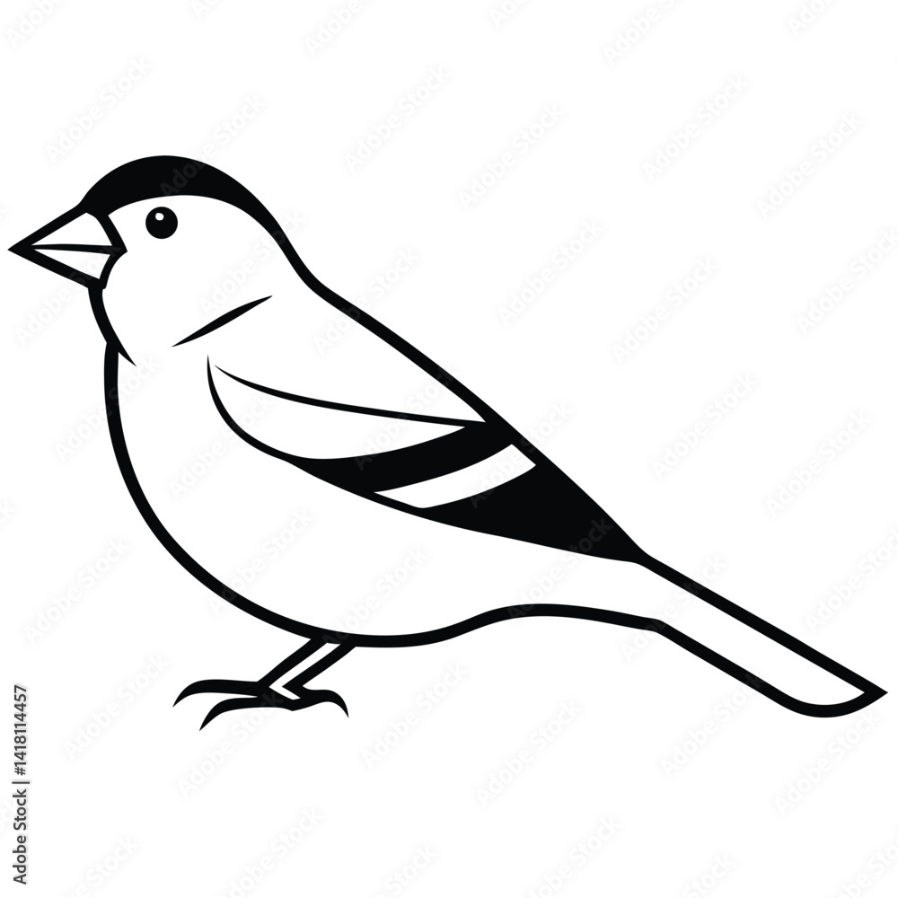 Obraz premium American Goldfinch line art vector isolated on white background