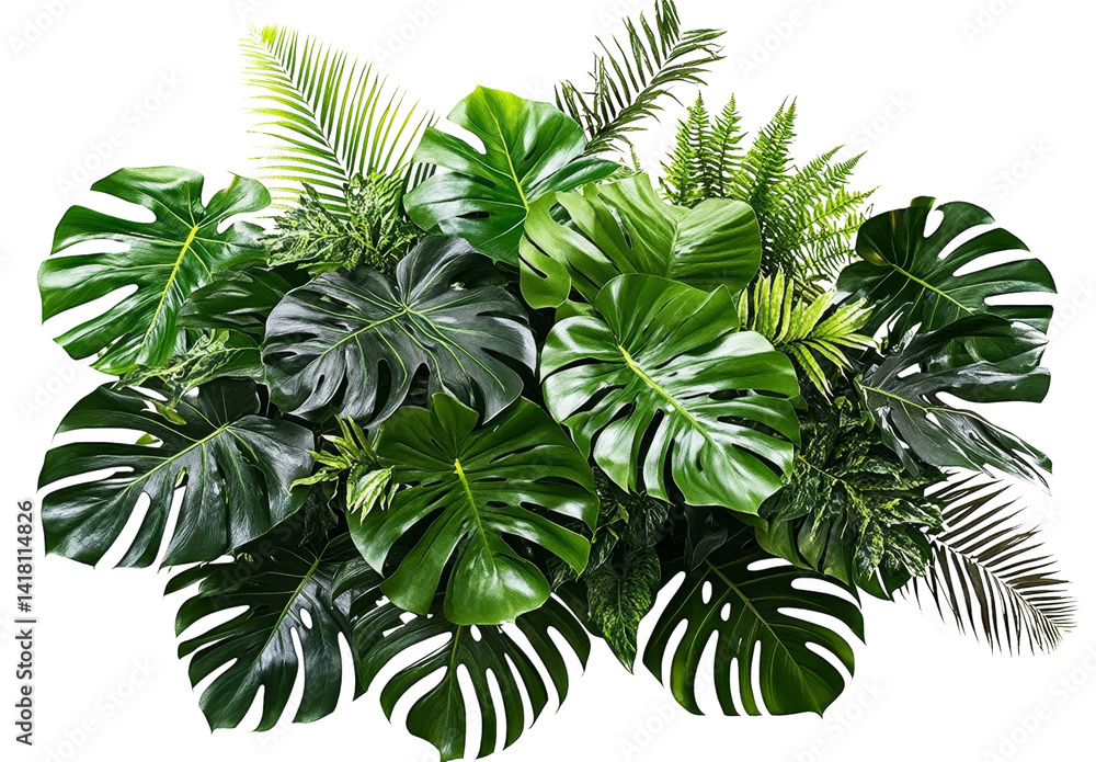 Lush Tropical Foliage Composition Diverse Green Monstera, Ferns and Palm Leaves Isolated on Transparent Background, Jungle, Greenery, Tropical Plants, Green Leaves, Monstera Lush Tropical Foliage Composition Diverse Green Monstera, Ferns and Palm Leaves Isolated on Transparent Background, Jungle, Greenery, Tropical Plants, Green Leaves, Monstera