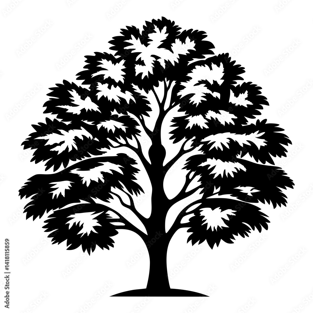 Obraz premium Silhouette of a tree with abundant foliage against a white background
