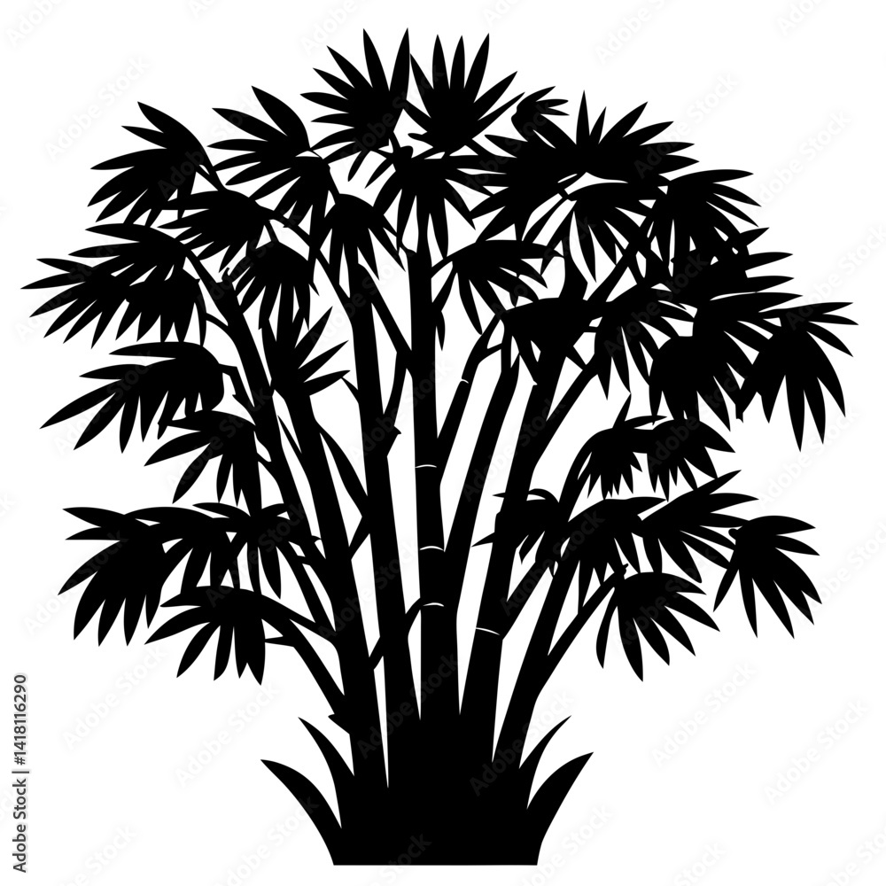 Obraz premium Black Silhouette of Fan Palm Tree Clump on White Background Illustration