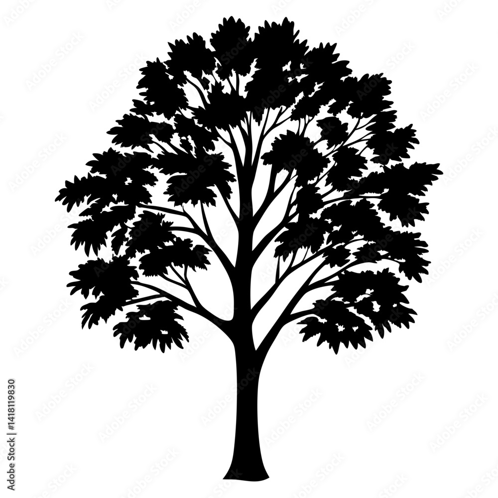Obraz premium Black tree silhouette against white background demonstrating natural beauty and minimalism