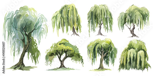 Set watercolor old weeping willow trees green foliage isolated on transparent background