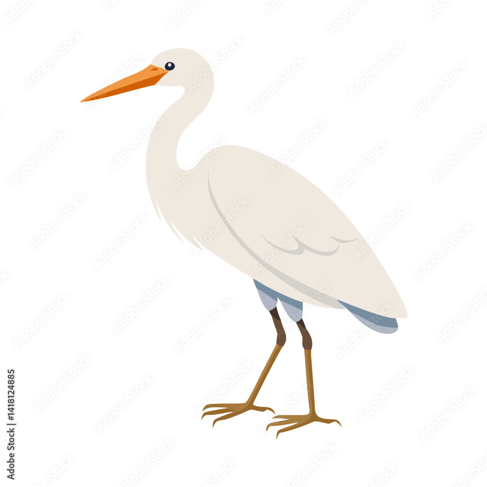 Simple Isolated White Egret Bird With Orange Beak Simple Isolated White Egret Bird With Orange Beak
