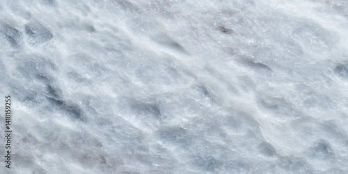 A solitary bird standing on fresh white snow in a bright, cold outdoor winter setting.