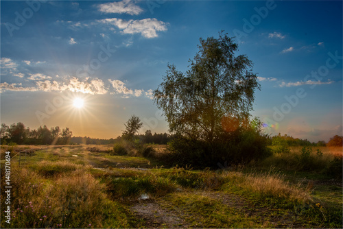 Carta da parati Wilde Natur in der Drover Heide im Spätsommer im Sonnenuntergang