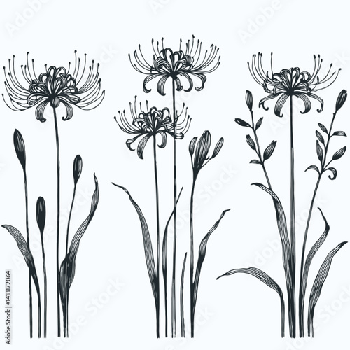 Canvas Print Set of outline lily, leaves, doodle floral pattern