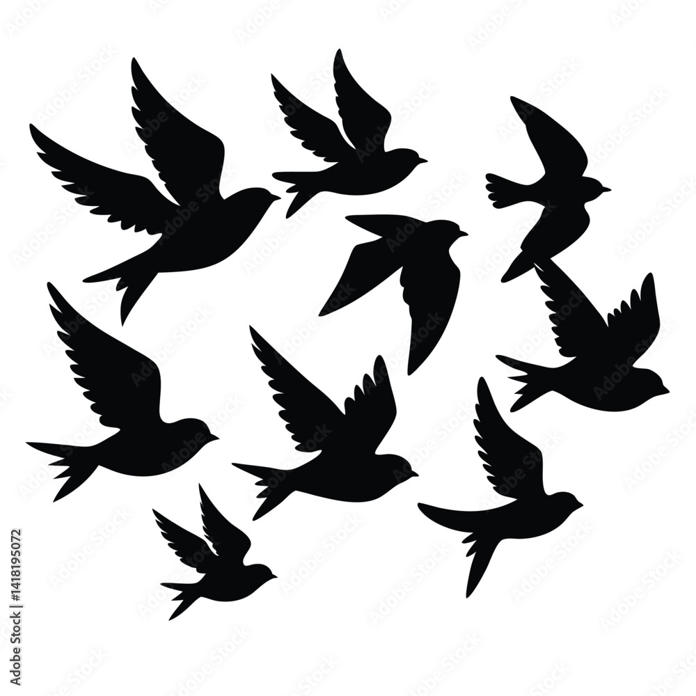 Birds Flying in Sky Birds Flying in Sky