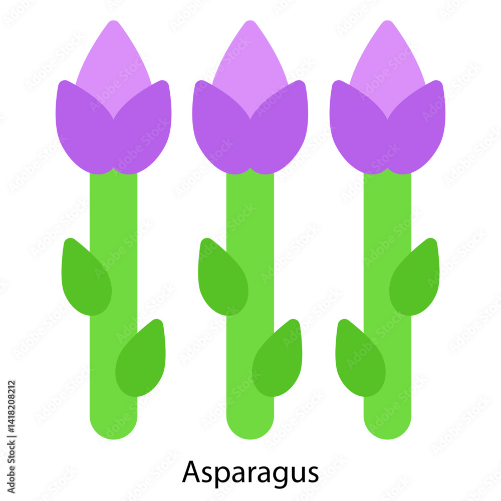 Asparagus single vector icon illustration Asparagus single vector icon illustration
