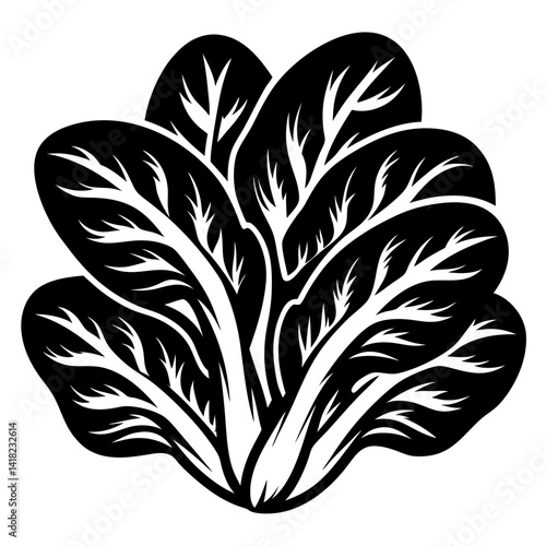 Elegant black and white illustration of leafy greens resembling bok choy or lettuce