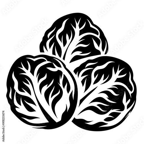 Stylized Illustration of Three Radicchio Heads in Black and White