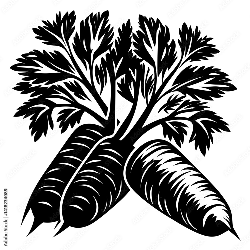 Fototapeta premium Three Black and White Carrots with Intricate Leafy Green Tops
