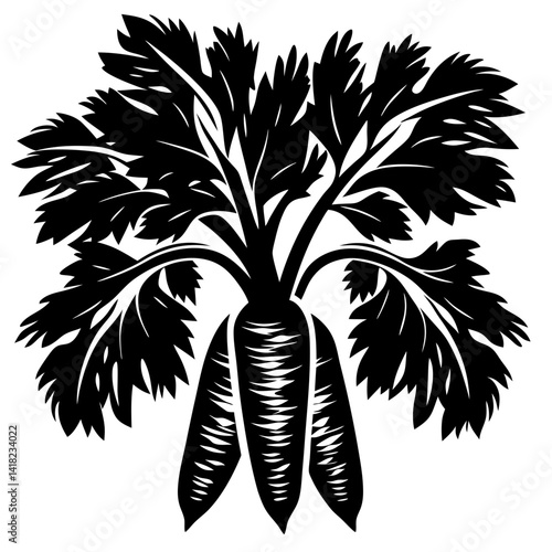 Monochrome representation of carrots showing roots and leaves in full detail