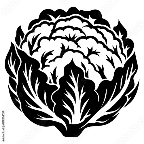 Abstract Black and White Cauliflower Head Silhouette with Detailed Leaf Structure