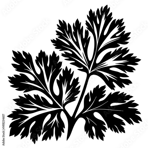 Elegant black silhouette of parsley plant foliage on a white background illustration