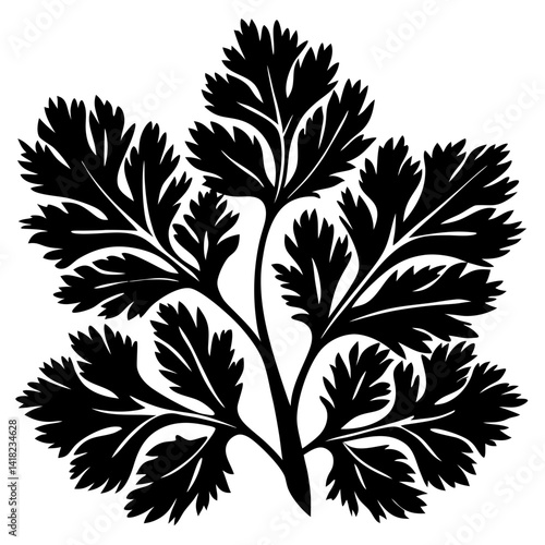 Detailed silhouette of a lush plant featuring multiple frond like leaves