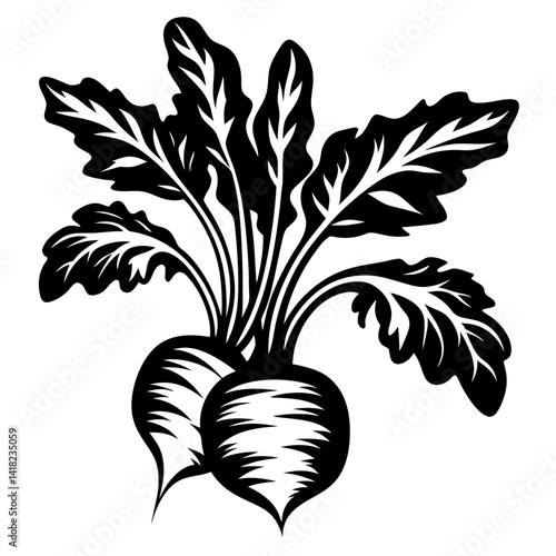 Stylized vector graphic illustration of two beets with their leaves attached