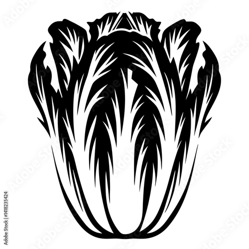 Stylized monochrome vector illustration of napa cabbage head on a white background
