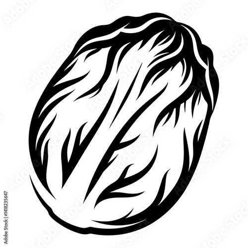 Stylized Napa Cabbage in Black and White Illustration for Digital Art