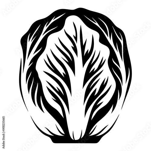 Abstract monochrome illustration of a napa cabbage head with detailed leaves