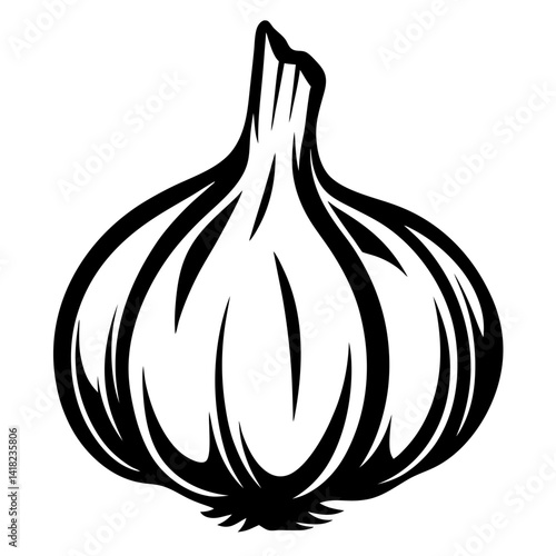 Black and white image of a ripe garlic bulb illustration graphic