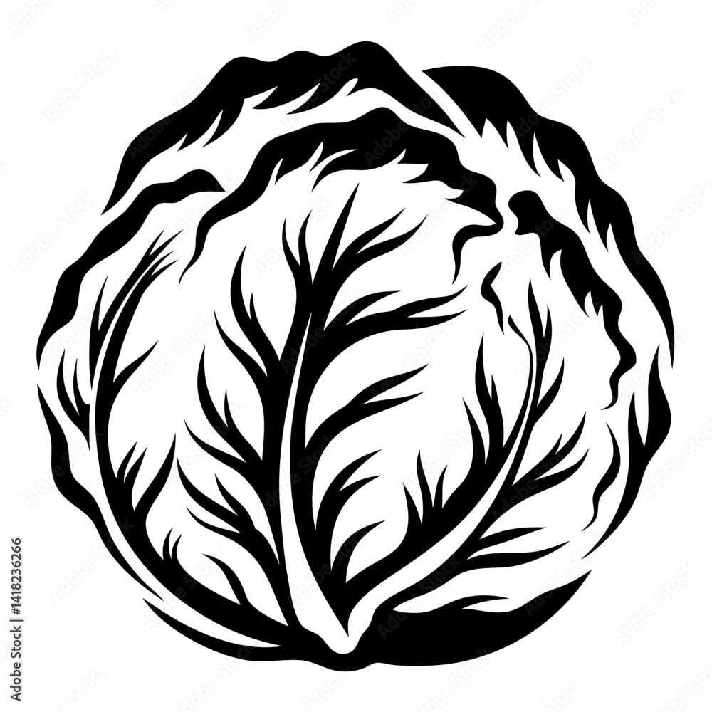Obraz premium Monochrome Abstract Lettuce Head Illustrative Design with Bold Black and White Contrast