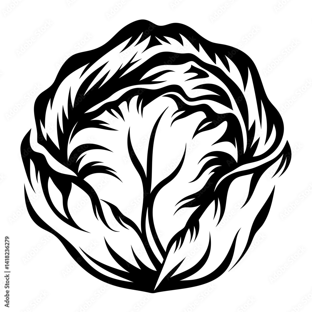 Black and white stylized illustration of a head of iceberg lettuce Black and white stylized illustration of a head of iceberg lettuce