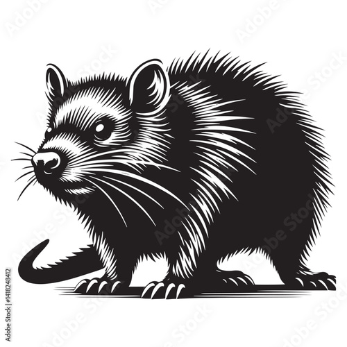 Scurry of the Outback: A Unique Collection of Bandicoot Vector Silhouettes Celebrating the Quirky Charm, Swift Movements, and Distinctive Shape of This Elusive Marsupial Species