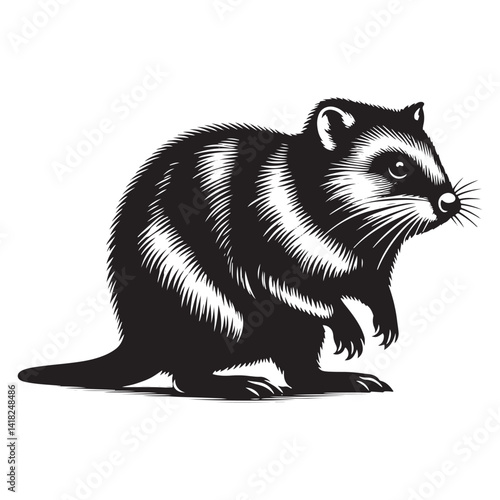 Scurry of the Outback: A Unique Collection of Bandicoot Vector Silhouettes Celebrating the Quirky Charm, Swift Movements, and Distinctive Shape of This Elusive Marsupial Species
