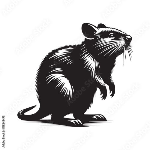 Scurry of the Outback: A Unique Collection of Bandicoot Vector Silhouettes Celebrating the Quirky Charm, Swift Movements, and Distinctive Shape of This Elusive Marsupial Species