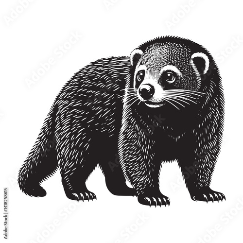 Whiskers of the Canopy: A Captivating Collection of Binturong Vector Silhouettes Showcasing the Mysterious Charm, Arboreal Grace, and Unique Form of the Elusive Bearcat