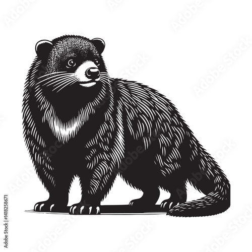 Whiskers of the Canopy: A Captivating Collection of Binturong Vector Silhouettes Showcasing the Mysterious Charm, Arboreal Grace, and Unique Form of the Elusive Bearcat