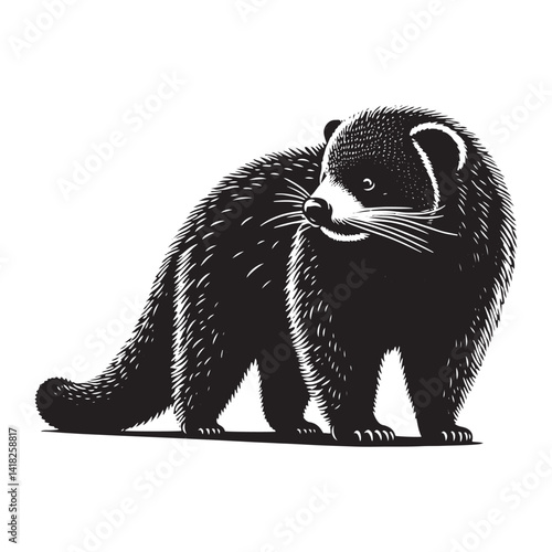Whiskers of the Canopy: A Captivating Collection of Binturong Vector Silhouettes Showcasing the Mysterious Charm, Arboreal Grace, and Unique Form of the Elusive Bearcat