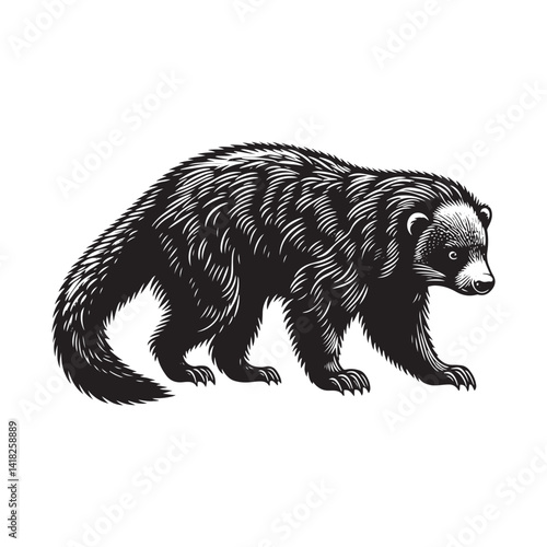 Whiskers of the Canopy: A Captivating Collection of Binturong Vector Silhouettes Showcasing the Mysterious Charm, Arboreal Grace, and Unique Form of the Elusive Bearcat