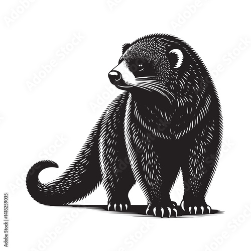 Whiskers of the Canopy: A Captivating Collection of Binturong Vector Silhouettes Showcasing the Mysterious Charm, Arboreal Grace, and Unique Form of the Elusive Bearcat