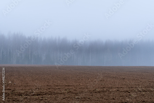 Plowed Field in Morning Fog with Misty Birch Woodland