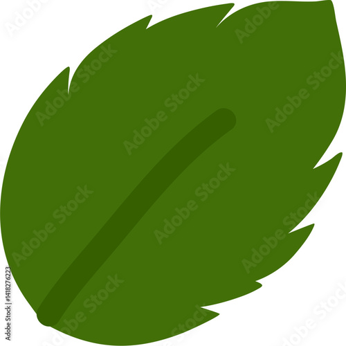 Hand drawn Fresh mint leaf