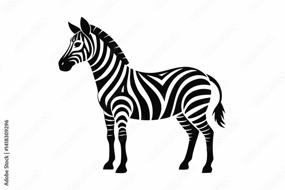 Obraz premium zebra isolated on white background