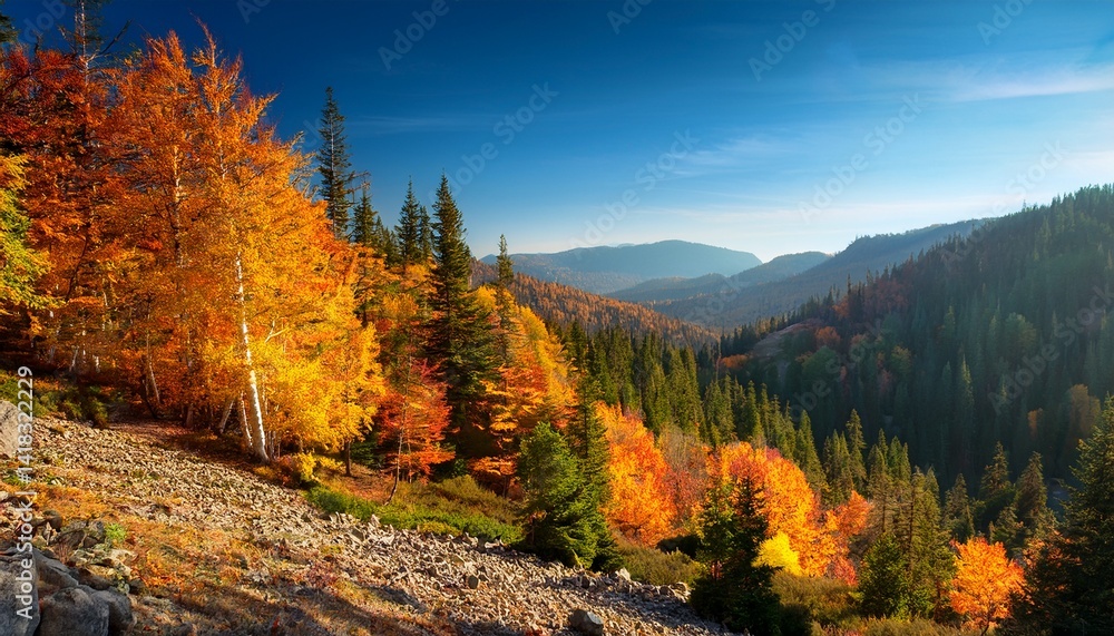 Obraz premium the wonderful colors of autumn in the forests on the mountains