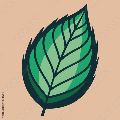 This is a green leaf vector illustration, isolated on white, showcasing natural foliage with a fresh, eco design element