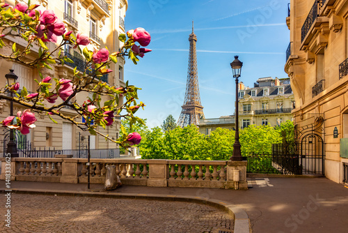 Fototapeta Naklejka Na Ścianę i Meble -  Eiffel tower and streets of Paris in spring, France