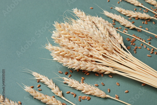 Wheat ears with grains on g...