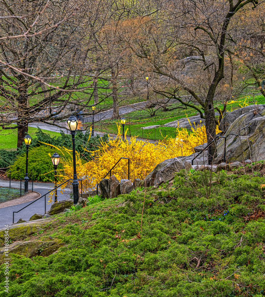Central Park in spring, early morning