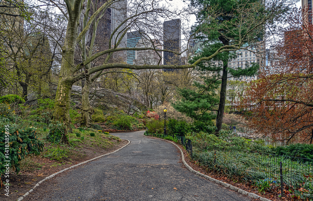Central Park in spring, early morning