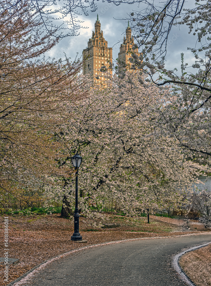 Central Park, New York City at the lake