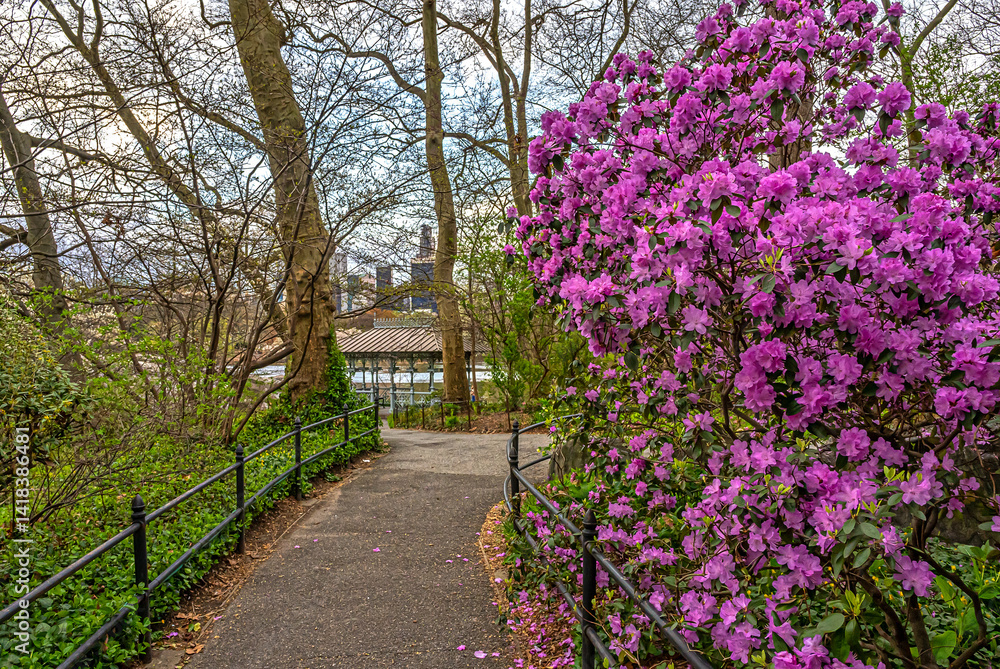 Central Park in spring, early morning