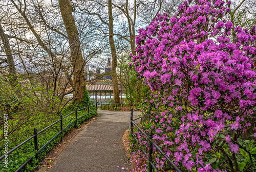 Obraz na płótnie Central Park in spring, early morning w salonie