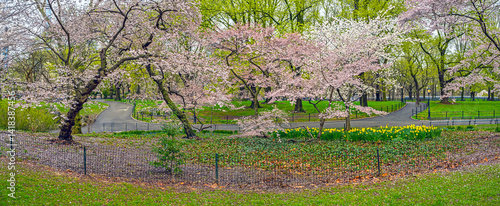 Obraz na płótnie Central Park in spring, early morning w salonie