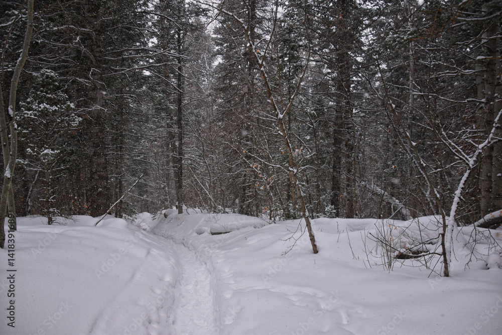 Tibble Fork Loop hiking winter storm snow views of trail Lone Peak Wilderness Uinta Wasatch Cache National Forest, Rocky Mountains, Utah. United States. Tibble Fork Loop hiking winter storm snow views of trail Lone Peak Wilderness Uinta Wasatch Cache National Forest, Rocky Mountains, Utah. United States.