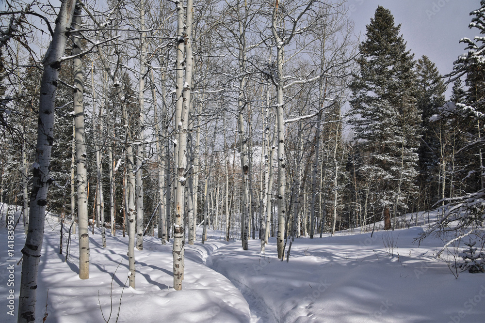 Fototapeta premium Tibble Fork Loop hiking winter storm snow views of trail Lone Peak Wilderness Uinta Wasatch Cache National Forest, Rocky Mountains, Utah. United States.